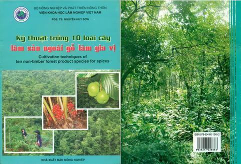 KỸ THUẬT TRỒNG 10 LOÀI CÂY LÂM SẢN NGOÁI GỖ LÀM GIA VỊ