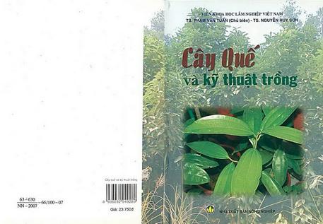 CÂY QUẾ VÀ KỸ THUẬT TRỒNG