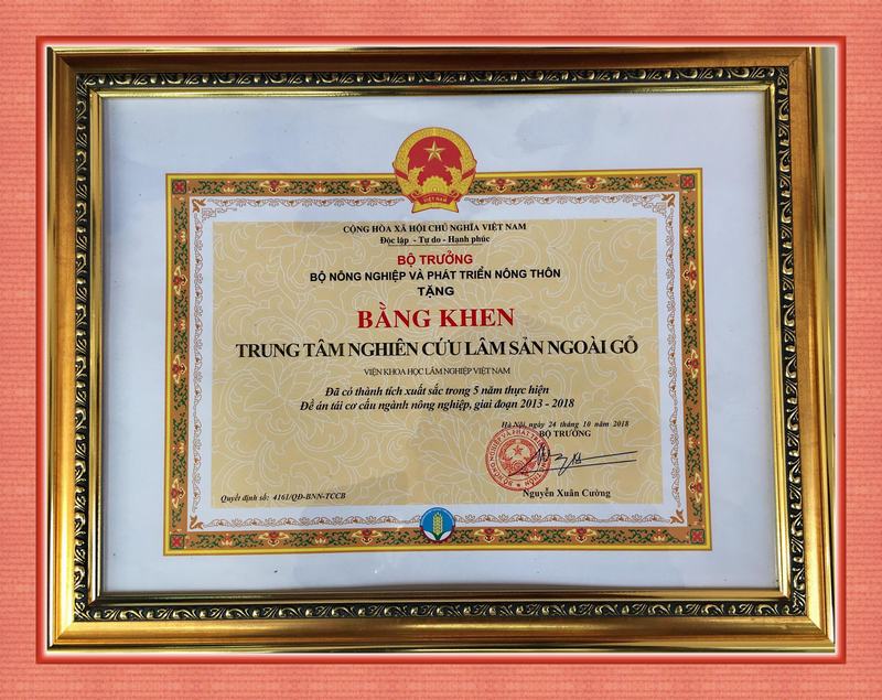 ĐÓN NHẬN BẰNG KHEN BỘ TRƯỞNG BỘ NÔNG NGHIỆP & PTNT