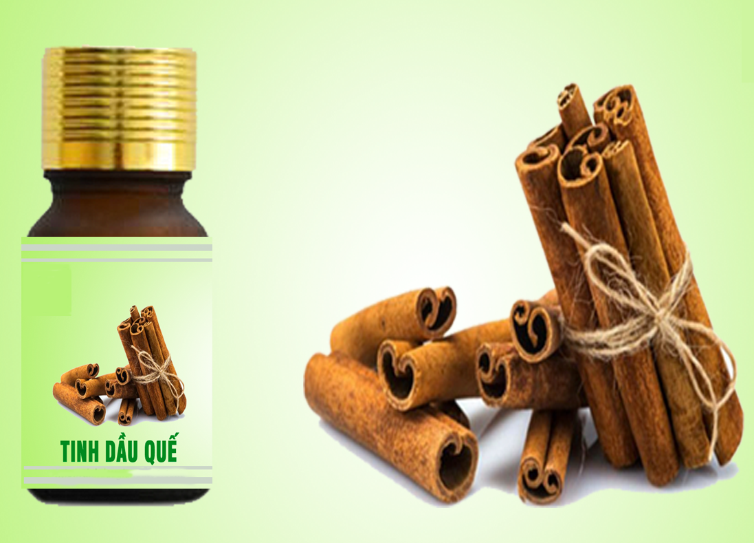 HƯỚNG DẪN KỸ THUẬT KHAI THÁC, CHẾ BIẾN TINH DẦU QUẾ (Cinnamomum cassia Nees ex Blume)  ĐÁP ỨNG YÊU CẦU GACP-WHO (Ban hành kèm theo Quyết định số:                       ngày       tháng      năm 2018  của Viện Khoa học Lâm ngh